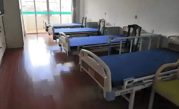 预售惨淡人气暴跌谁也救不了“狂妄自大”的那英